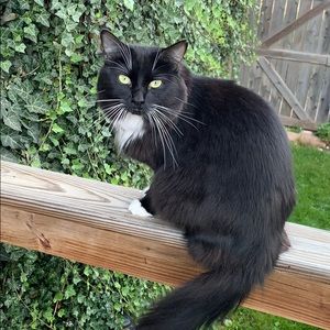 Meet your Posher, Tricia